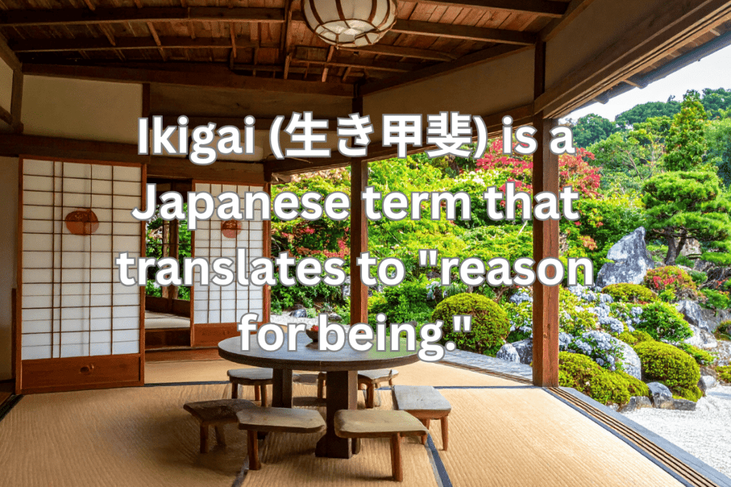 Definition of Ikigai