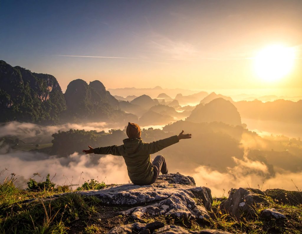 The Whisper of Ikigai: Beyond the Hype