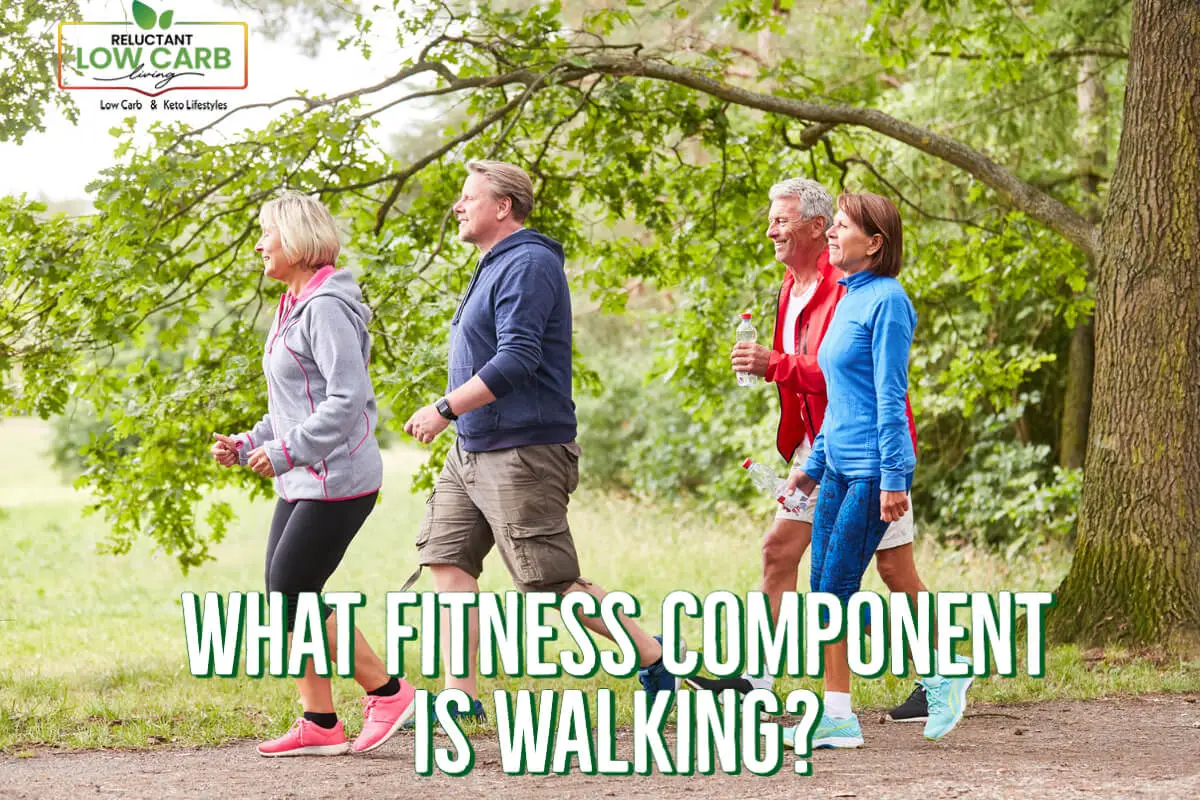 What Fitness Component Is Walking?