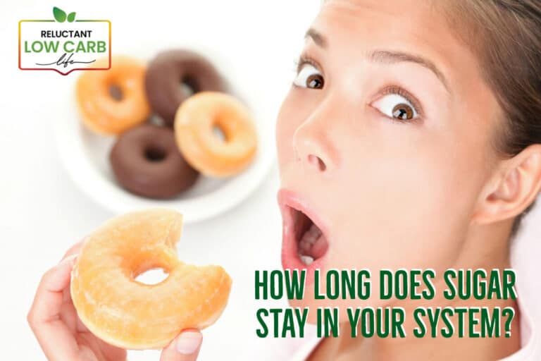 How Long Does Sugar Stay In Your System? Reluctant Low Carb Life