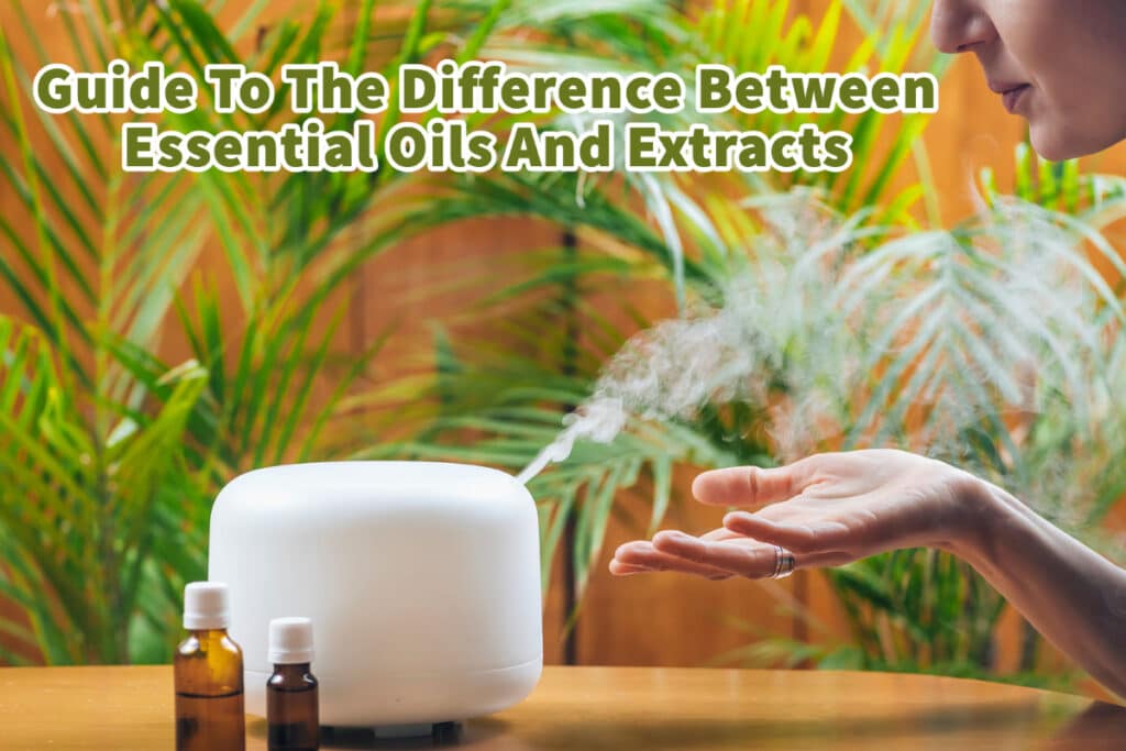 Guide To The Difference Between Essential Oils And Extracts Reluctant Low Carb Life