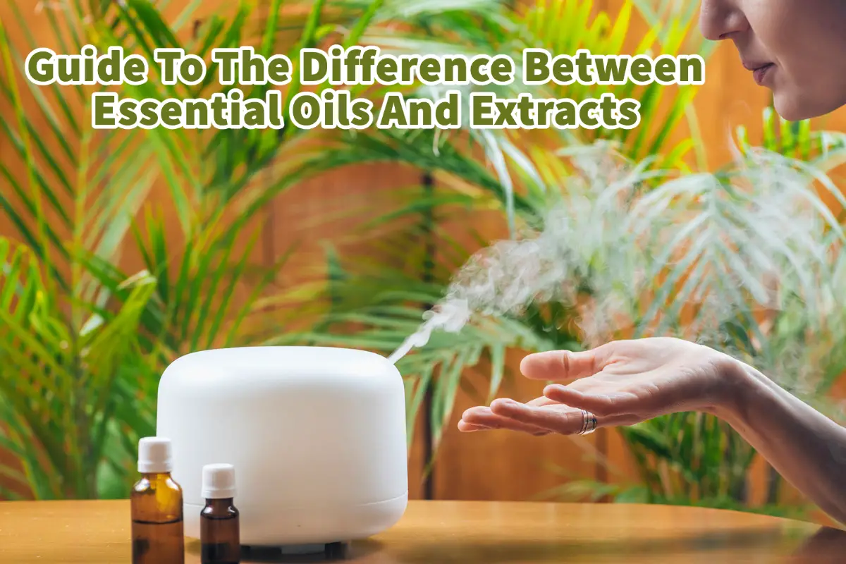 Guide To The Difference Between Essential Oils And Extracts