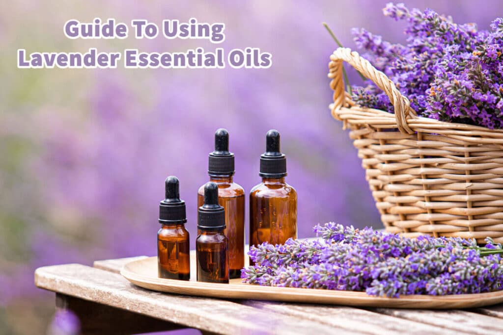 Guide To Using Lavender Essential Oils Reluctant Low Carb Life