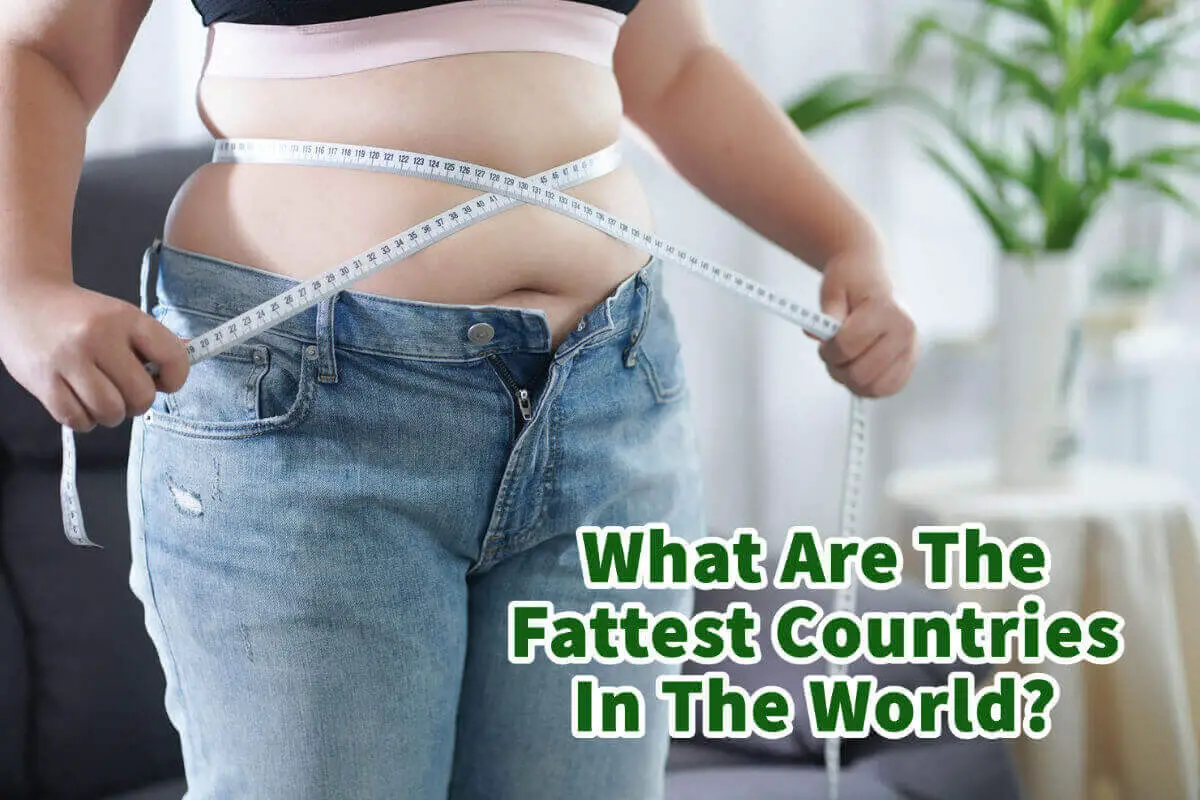 What Are The Fattest Countries In The World?