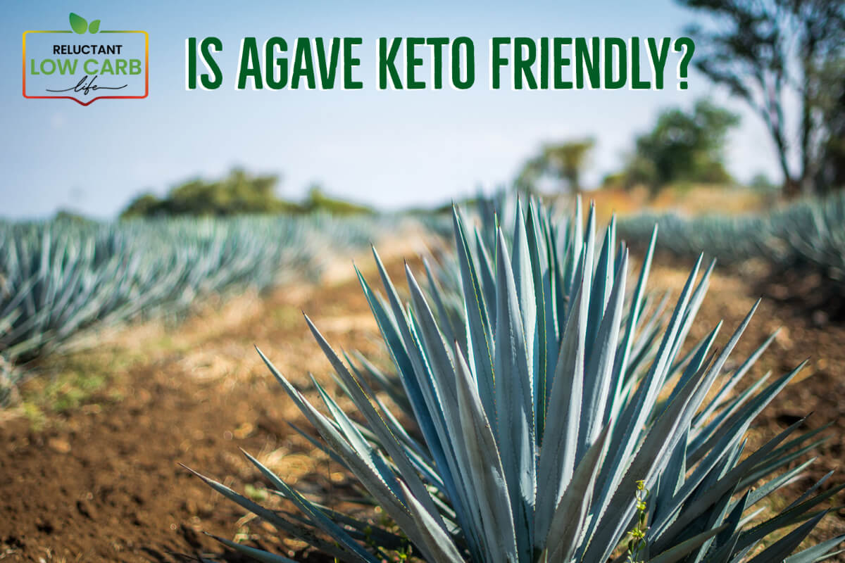 Is Agave Keto Friendly?