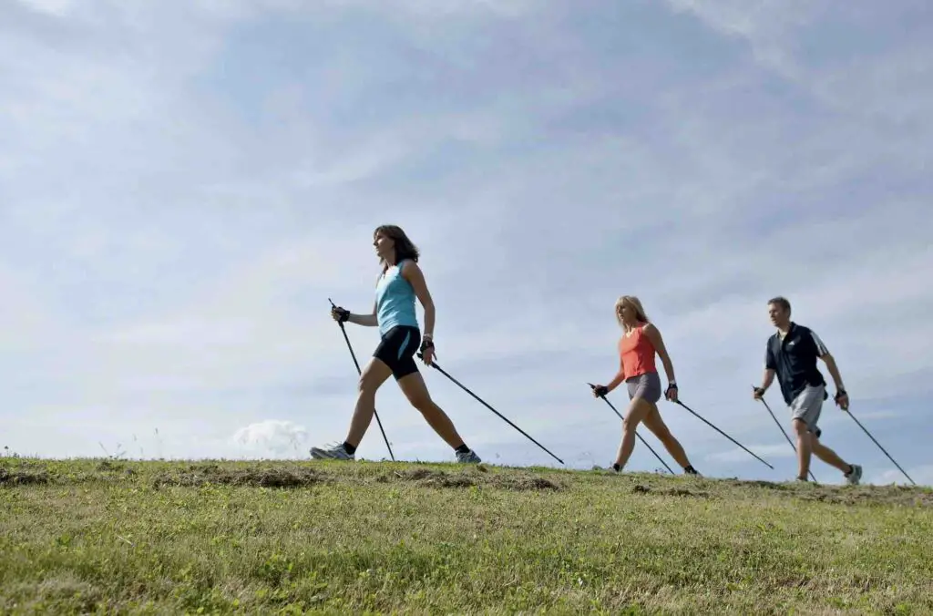 Meaning of Nordic Walking