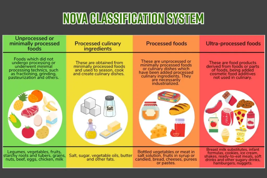 NOVA Classification System