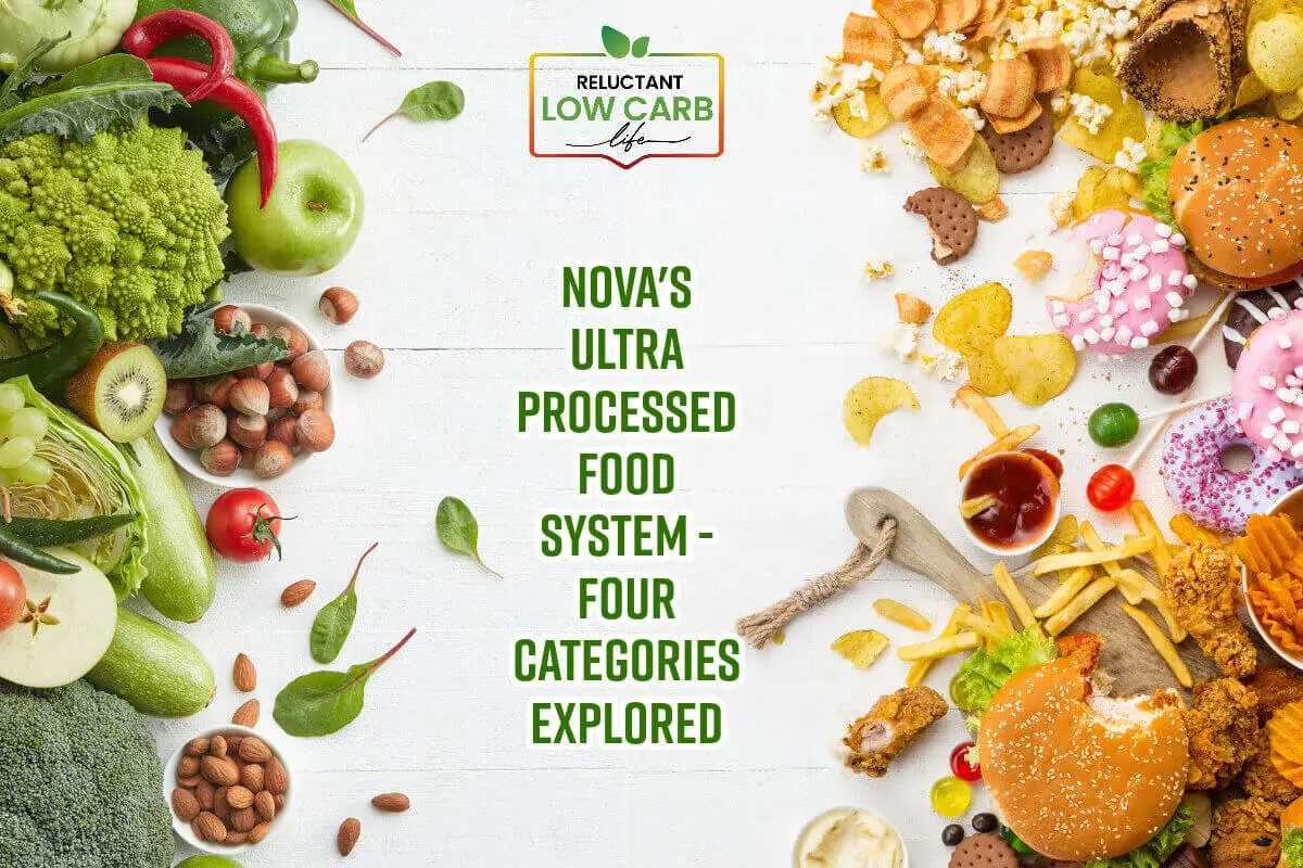 NOVA's Ultra Processed Food System - 4 Categories Explored