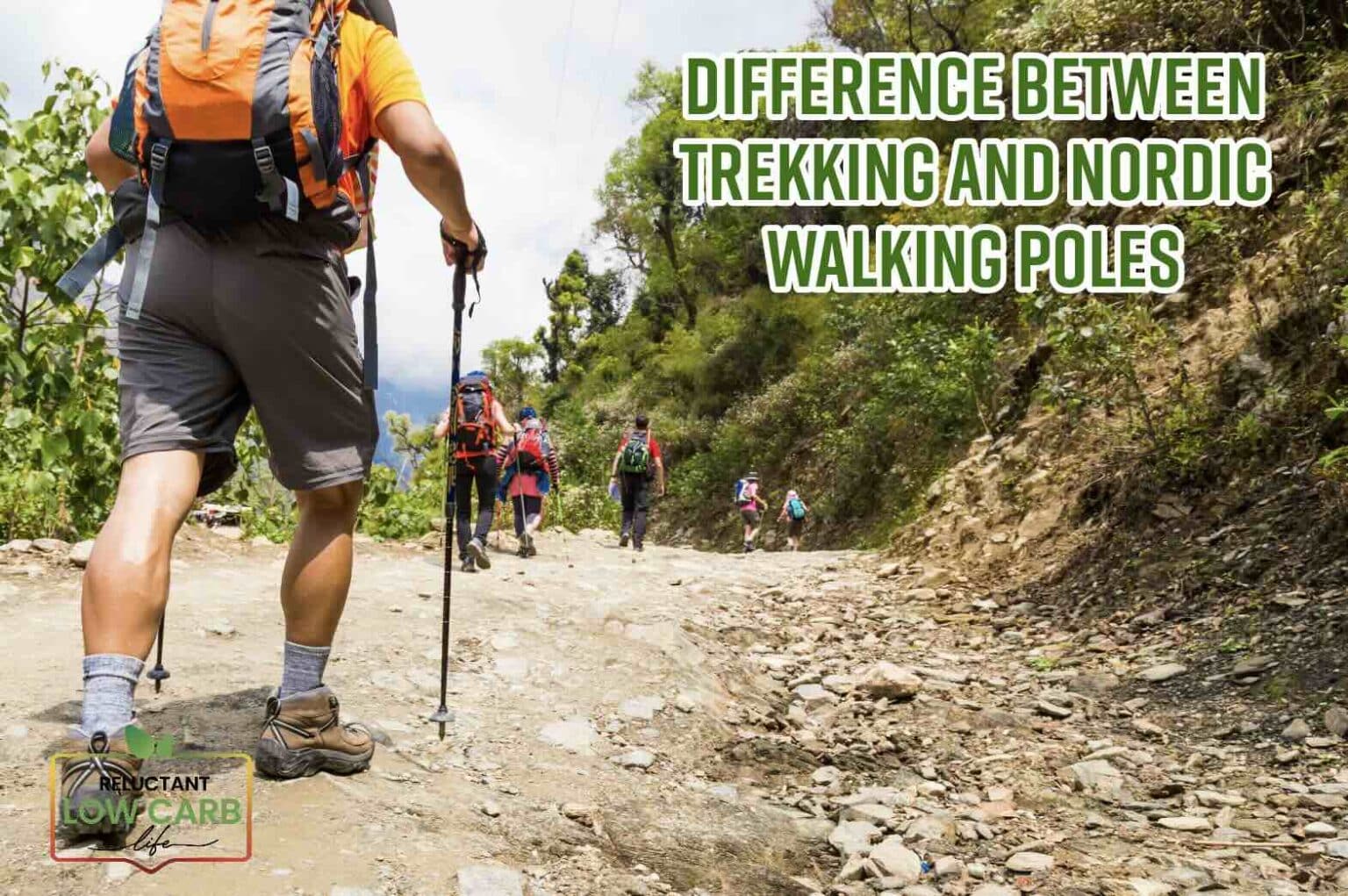 Difference Between Trekking And Nordic Walking Poles Reluctant Low