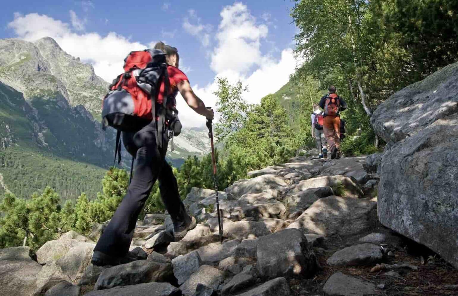 Trekking Vs. Nordic Walking Differences Explored Reluctant Low Carb Life