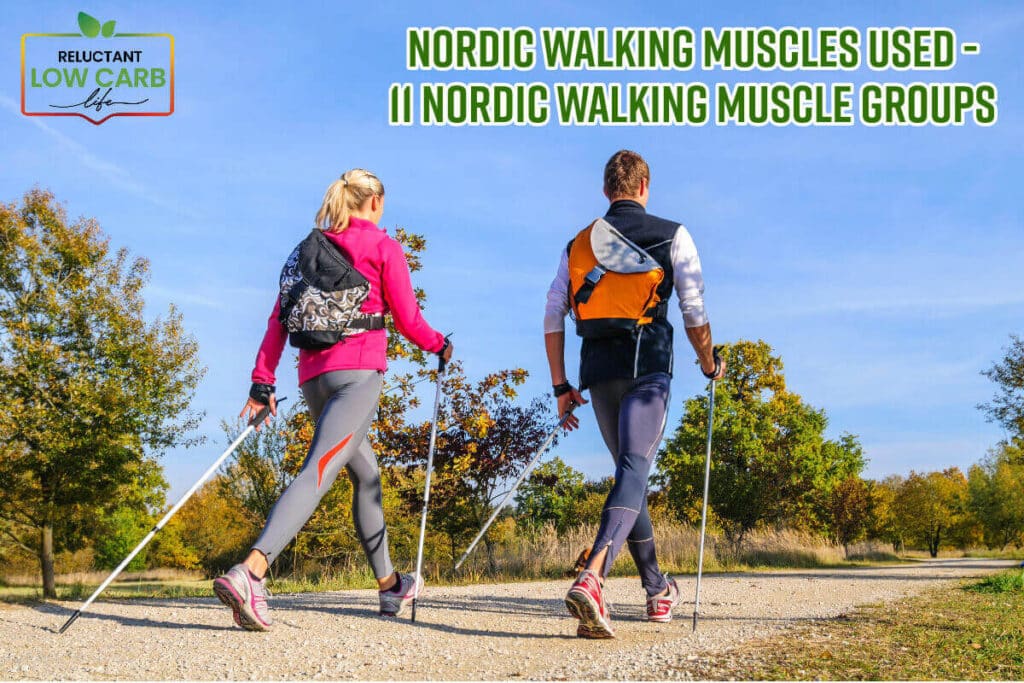 Nordic Walking Muscles Used 11 Nordic Walking Muscle Groups
