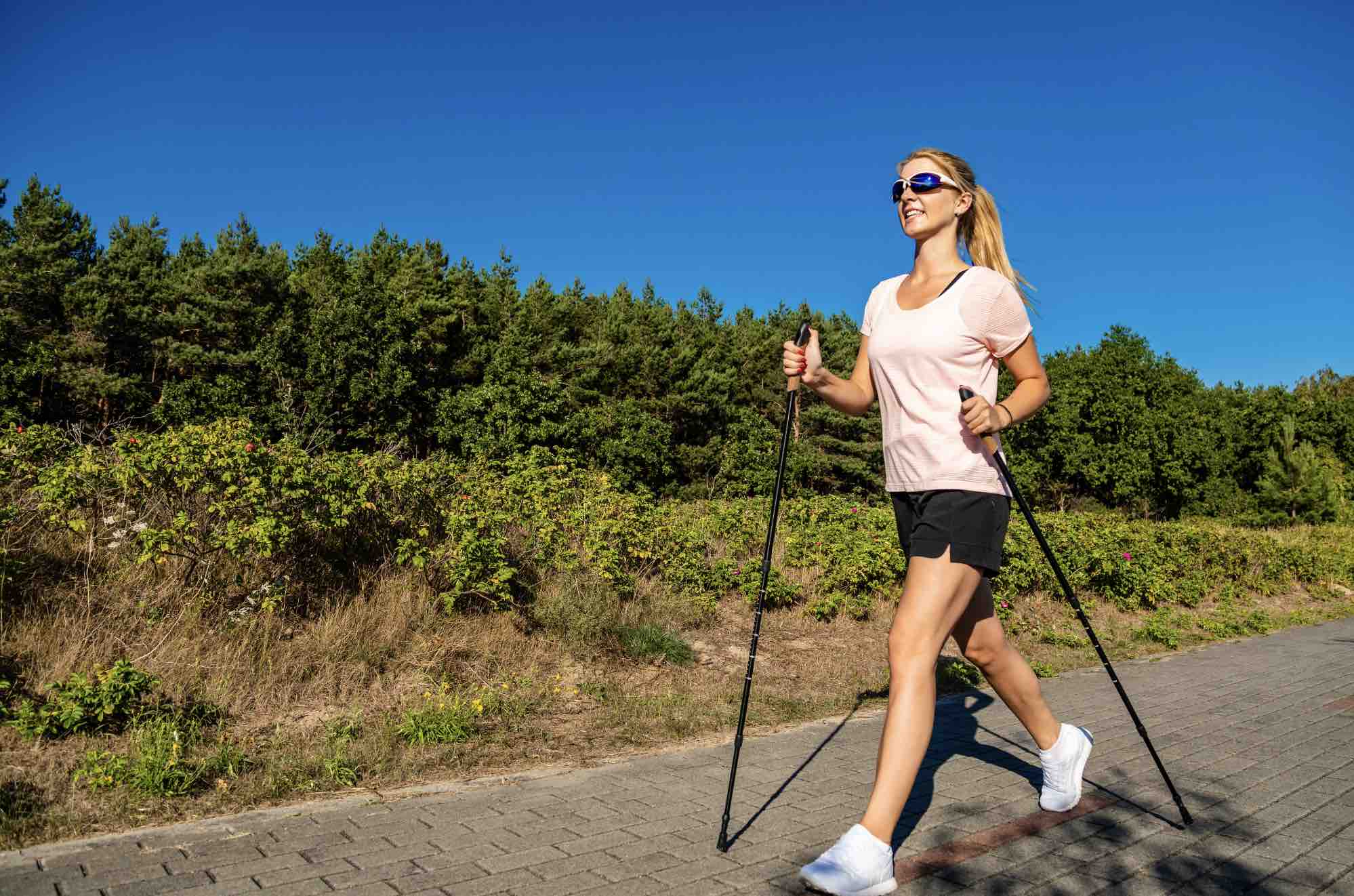 Nordic Walking Muscles Used 11 Nordic Walking Muscle Groups