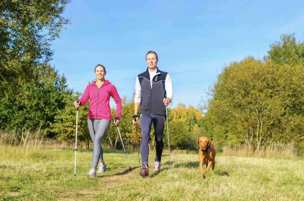 Nordic Walking With Dog