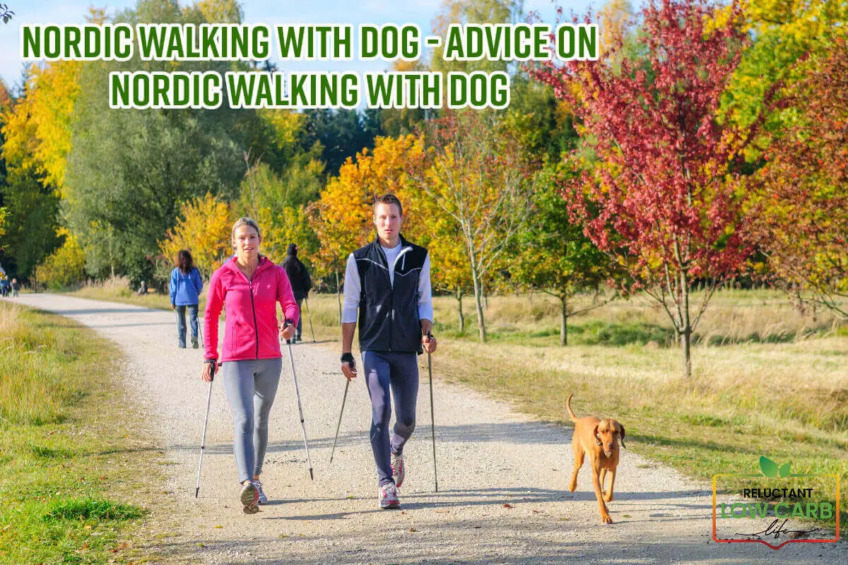 Nordic Walking With Dog - Advice On Nordic Walking With Dog