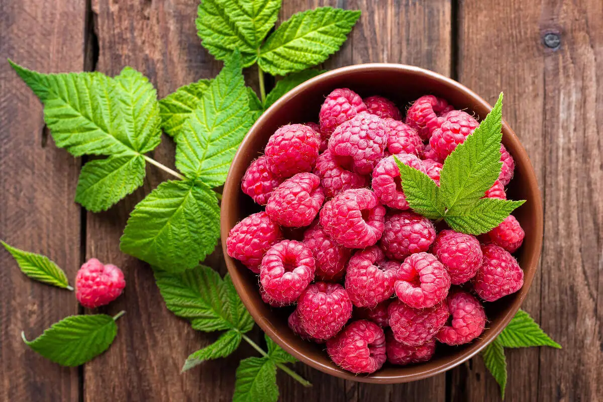 Carb Count in Raspberries Unveiled