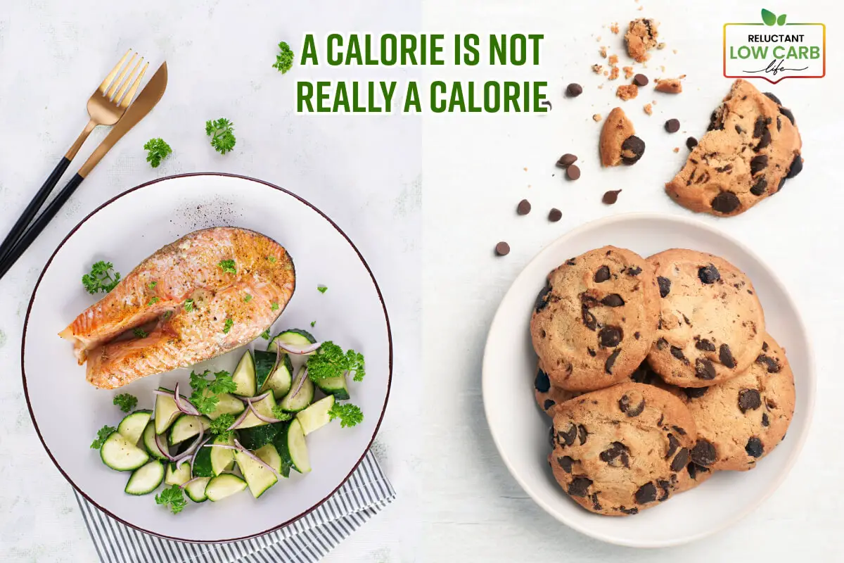 A Calorie Is Not Really A Calorie