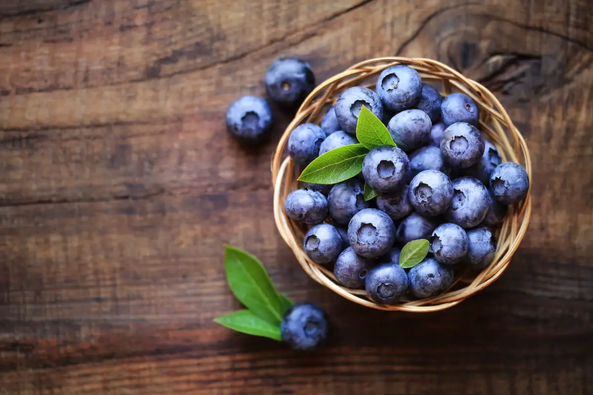 Blueberry Nutrition Deep Dive