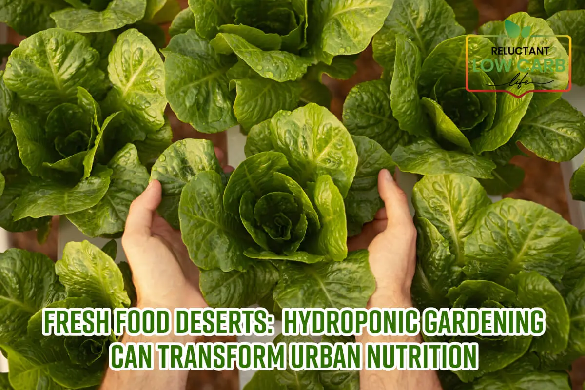 Fresh Food Deserts:  Hydroponic Gardening Can Transform Urban Nutrition