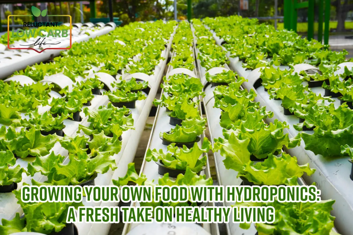 Growing Your Own Food With Hydroponics: A Fresh Take On Healthy Living