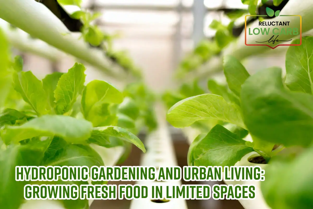 Hydroponic Gardening And Urban Living: Growing Fresh Food In Limited Spaces