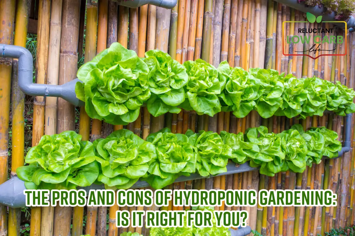 The Pros And Cons of Hydroponic Gardening: Is It Right For You?