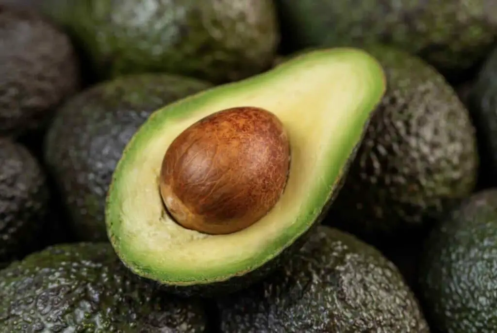 Avocados