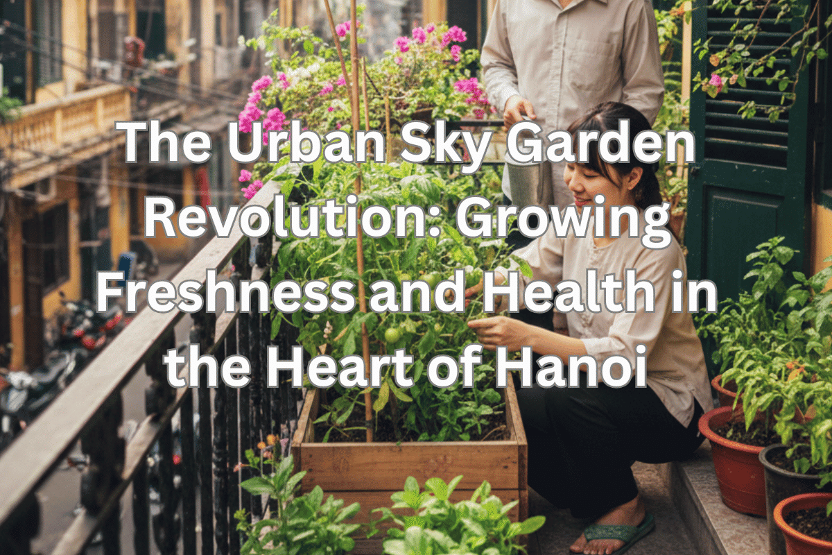 The Urban Sky Garden Revolution: Growing Freshness and Health in the Heart of Hanoi